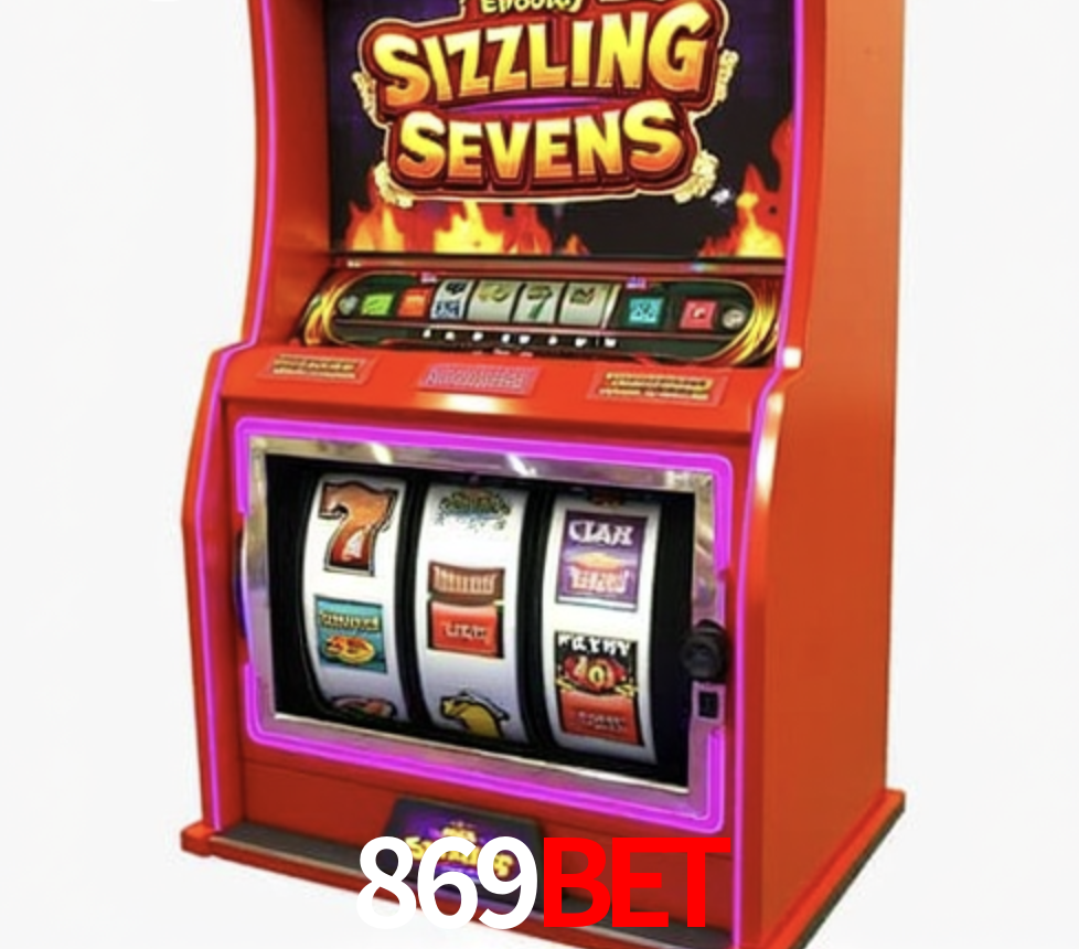 Security Systems 869bet